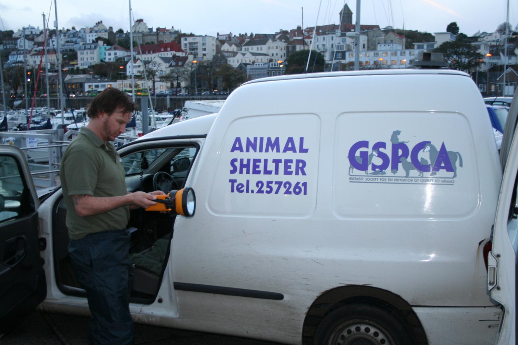 GSPCA seal rescue from Jethou in Guernsey