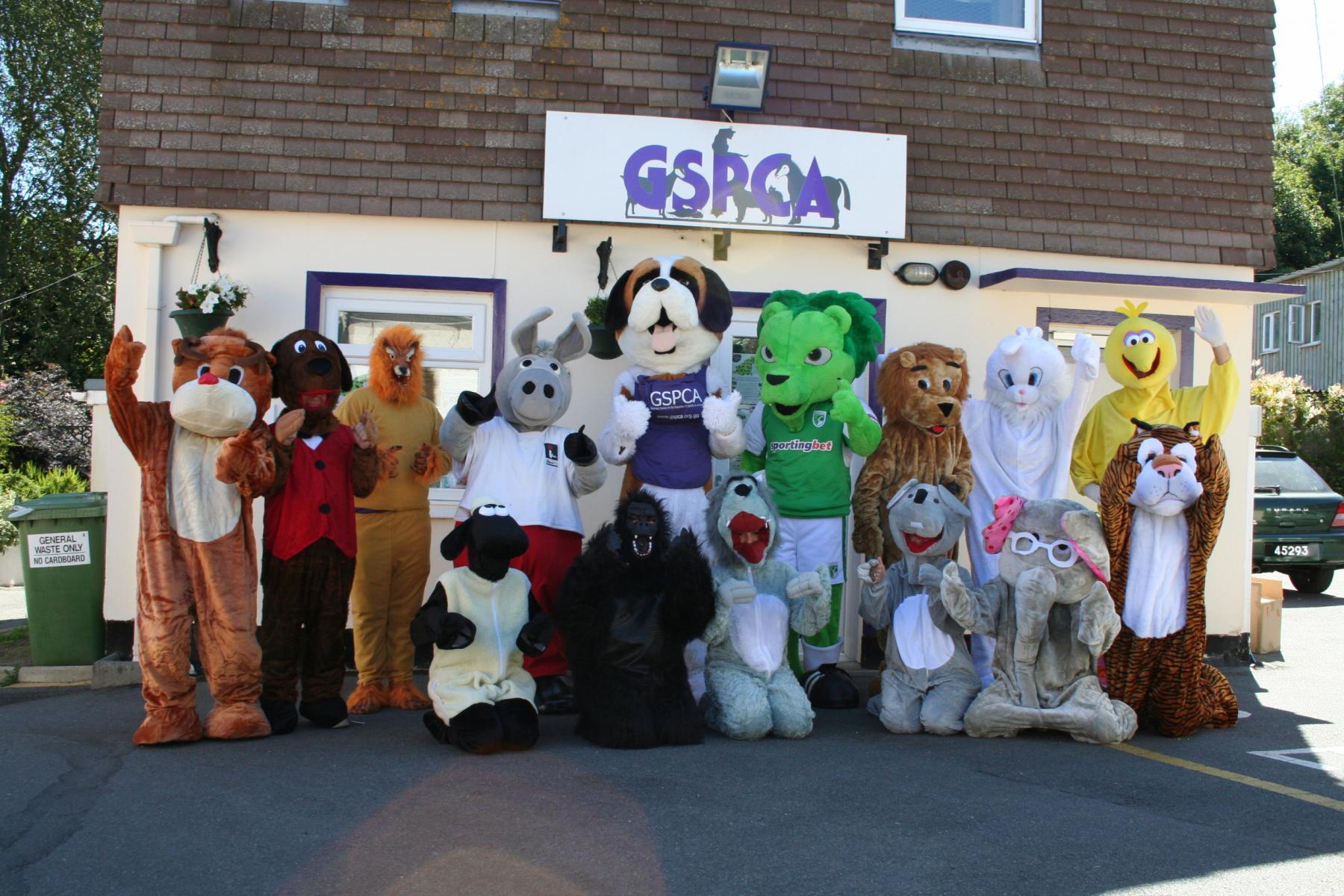 Mascot Racing in Guernsey with Roary the GFC Lion, Daniel the Donkey from Island FM, Bernard the GSPCA Mascot and animal friends