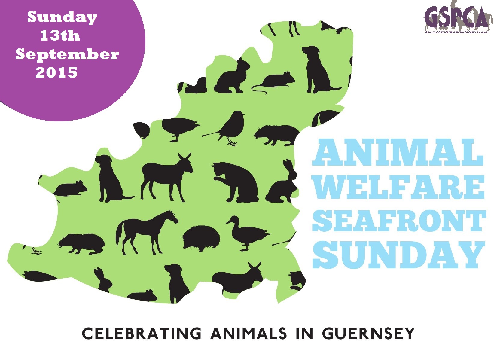 Animal Welfare Seafront Sunday 2015 GSPCA Guernsey