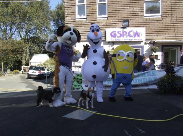 Olaf & Dave the Minion join Bernard the GSPCA Mascot at the Animal Welfare  Seafront Sunday & Olaf is judging the dog show | GSPCA Guernsey