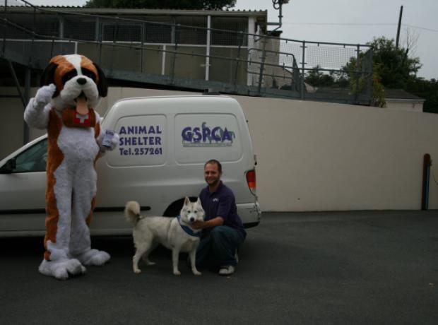 Full and Part Time Animal Care Assistant Posts At the GSPCA | GSPCA Guernsey