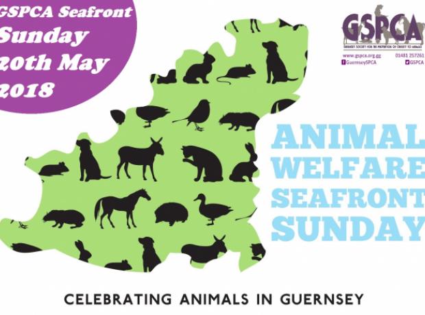 Animal Welfare Seafront Sunday set for 20th May - Book your pitch, join the  5-a-side Mascot football and more | GSPCA Guernsey