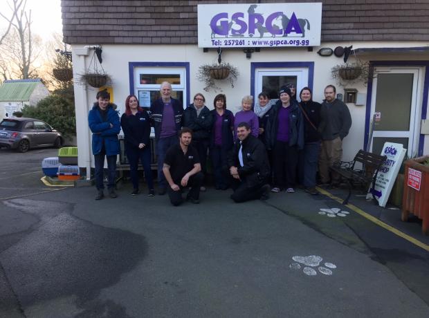 VACANCIES - Casual Animal Care Assistant & Casual Charity Shop Assistant |  GSPCA Guernsey