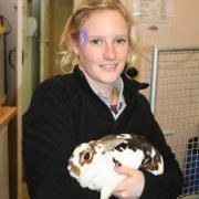 Sarah Creasey GSPCA Animal Welfare and Education Officer