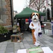 Thank you to Market Bistro and Guernsey Market on World Stray Animal Day helping the GSPCA in Guernsey