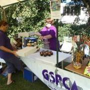 Thanks to Bryony for making the lovely cakes for the GSPCA 