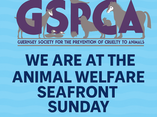 Stall Holder Information for Animal Welfare and Charities Seafront ...