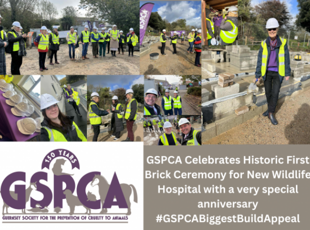 GSPCA Celebrates Historic First Brick Ceremony for New Wildlife ...