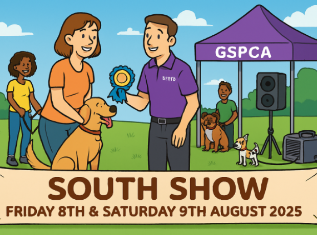 GSPCA at the South Show: Volunteers Needed & Fun Dog Show This Friday ...