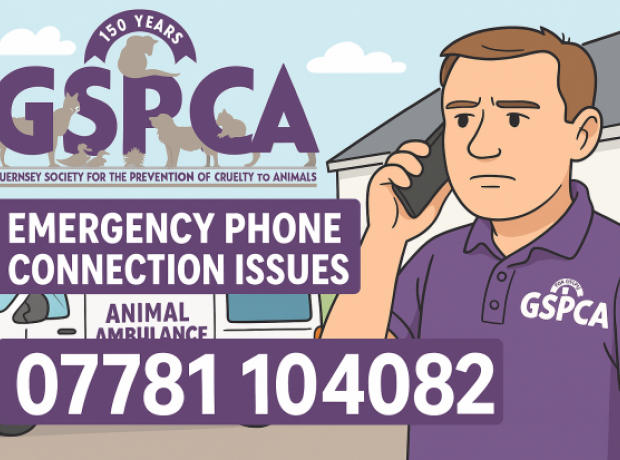 URGENT NOTICE - GSPCA Experiencing Ongoing Phone Connection Issues ...